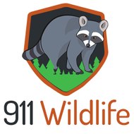 911Wildlife KItchener