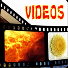 Filmy