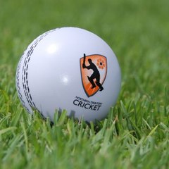 Cricket world
