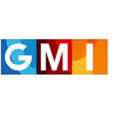 GlobalMediaInsight