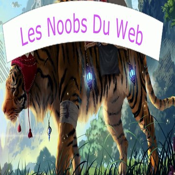 Les Noobs du web