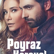 العشق التركي