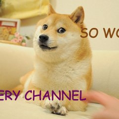 SoWoWChannel