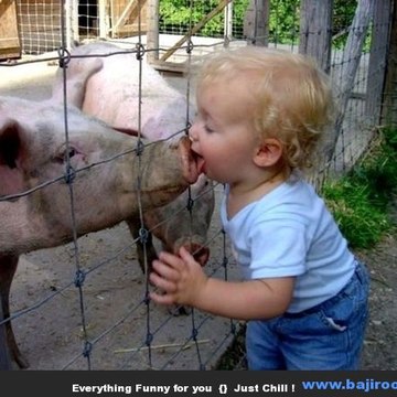 just for entertainment