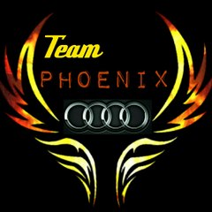 teamphoenix