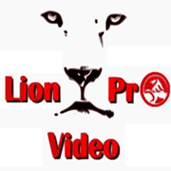 Lion-Pro-Video