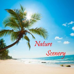 Nature Scenery