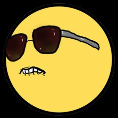 Funny Videos