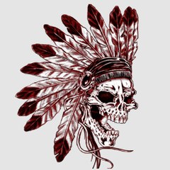 Indios Rrojiblancos