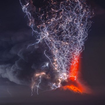 マルガリータ(丸刈リータ）