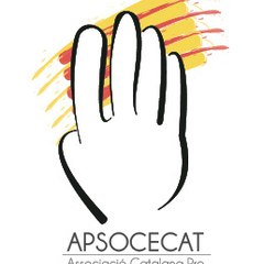 Apsocecat