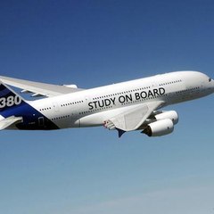 StudyOn Board