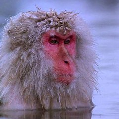 Worth Watching Documentaries