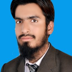 M Amir Alvi