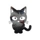 Le Channel des Chats