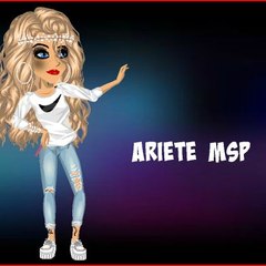 Ariete Msp