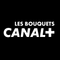 LES BOUQUETS CANAL+ AFRIQUE