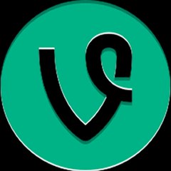 Vines Compilation