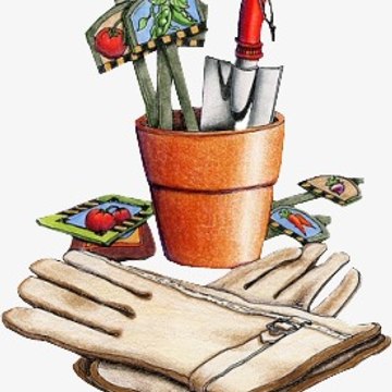 jardinage sur balcon et radio dx