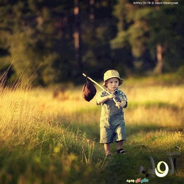 Cat Video Funny Channel lol