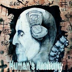 ultraHuman Anatomy