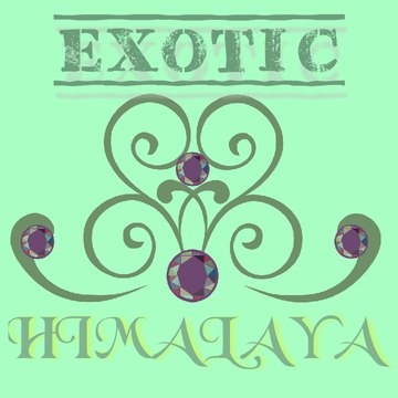 Exotic Himalaya