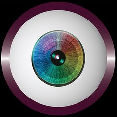 IRIS Audiovisual