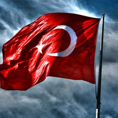 Türk Haber