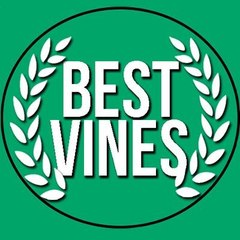 Best Vines