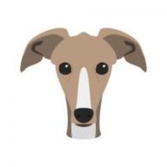 The Trendy Whippet