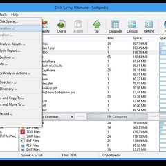 disksavvyultimate8716