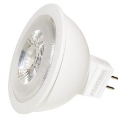 Ledlight Club