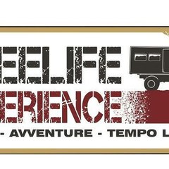 Freelife Experience