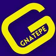 Gnatepe médias