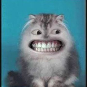 Trynottolaugh