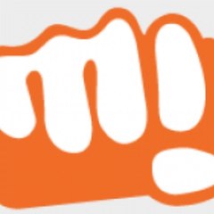 Micromax Informatics