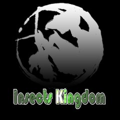 Insect Kingdom DM