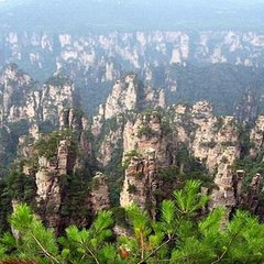 ChiangMai Global Tour