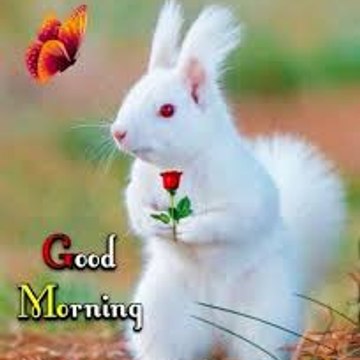 Disney's Top 10 Cartoons