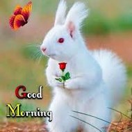 Disney's Top 10 Cartoons