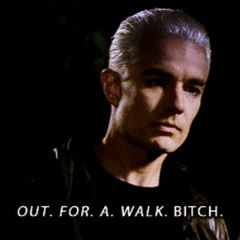 OutForAWalkBitch