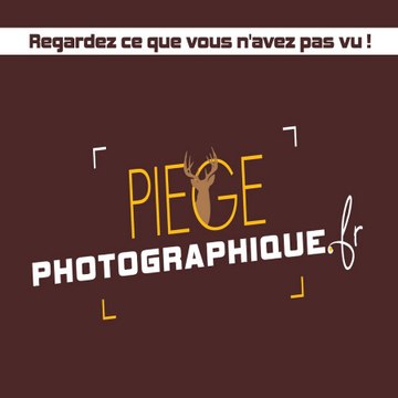 Piègephotographique.fr