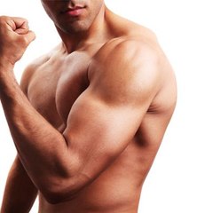 Ryan Hughes Muscle Matrix Solution