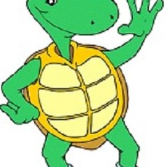 Turtle Channel
