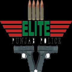 Punjab Elite Force
