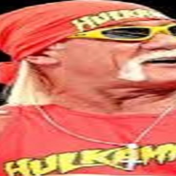 wwe hulkaminacts