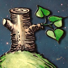 Stammberger Universum
