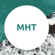 Muhammad Hamza Tariq