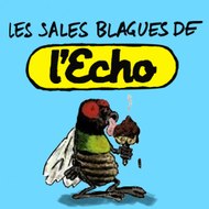 Sales Blagues De L'Echo