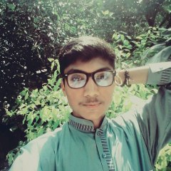 Malik Taimoor